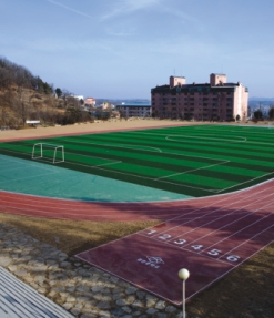 COMPLEX ELASTIC SYSTEM FOR TRACKS
